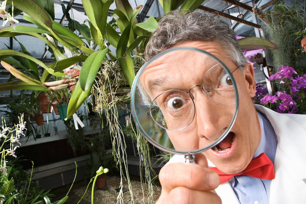 Scientist-Gmo-Investigation-Funny-Magnifying-Glass