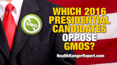 Which-2016-Presidential-Candidates-Oppose-GMOs-480