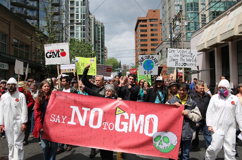 Five Hidden Dangers of GMOs