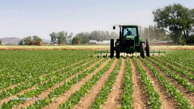 Agriculture-Plowing-Food-Field