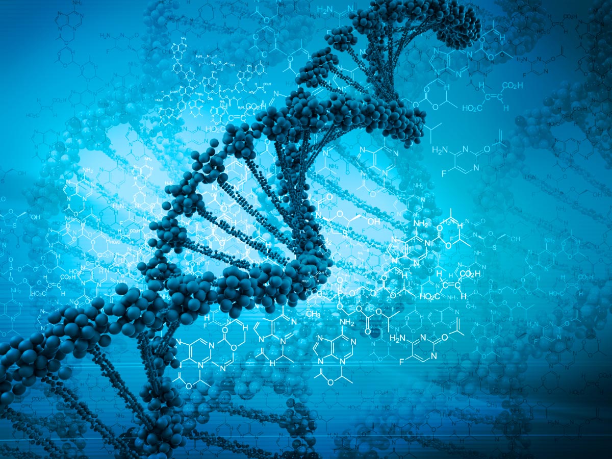 The dawn of genetically modified humans will rise in two years, claims biotech company