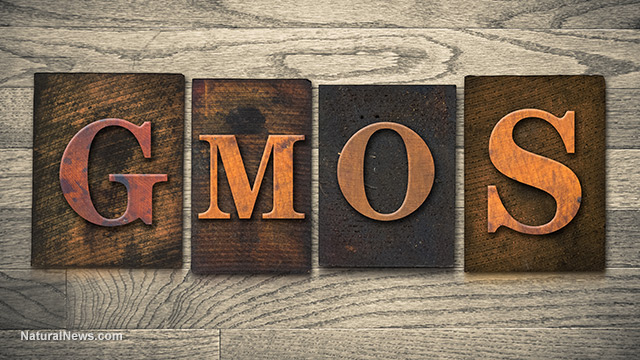 GMOs-Printing-Font-Blocks