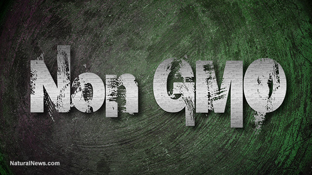 Non-GMO-Grunge-Letters