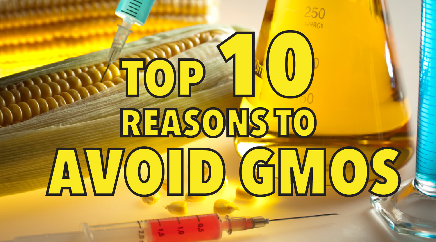 Top 10 reasons to avoid GMOs