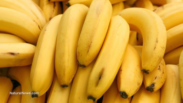 Yellow-Bananas-Bunch