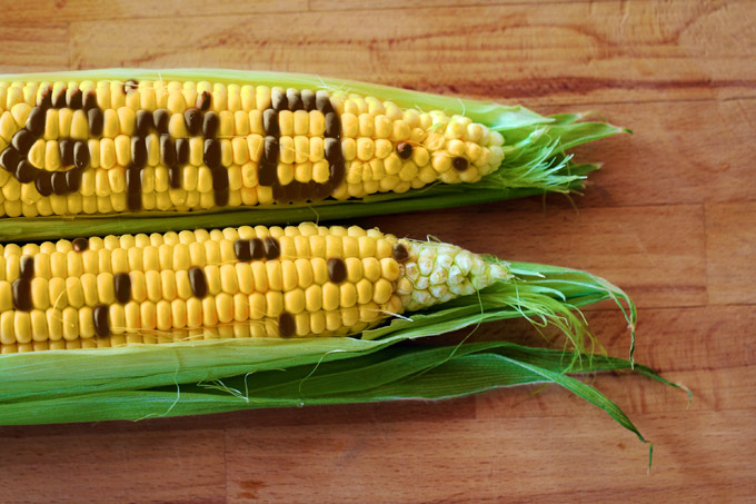 corn