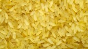 Golden Rice