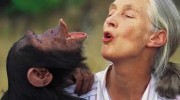 Jane Goodall