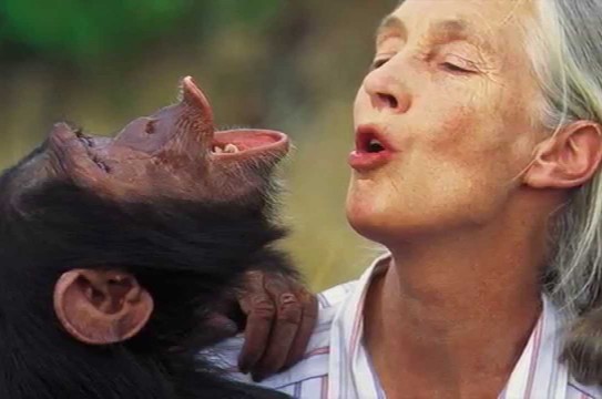 Jane Goodall