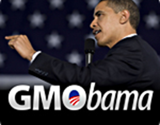 Obama’s new policy registration may very well have ended all non-GMO agriculture in the US