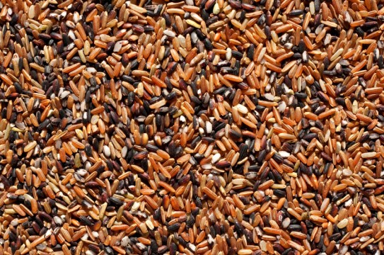 Grains-Rice