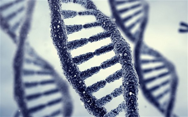 Genetically modified humans now a reality as China tests gene editing on people